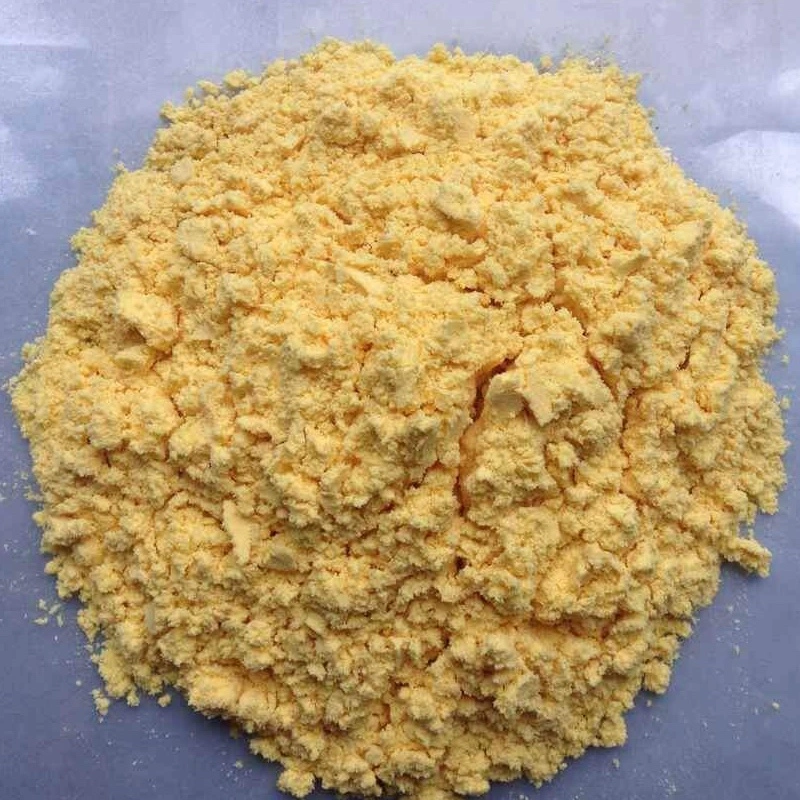 Supplément nutritionnel de qualité alimentaire jaune d'œuf en poudre de lécithine