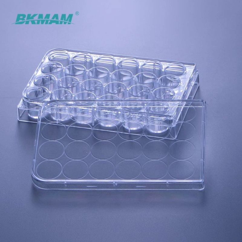 6well 12well 24well 48well 96well Transparent Tc Treated Cell Culture Plate with Lid