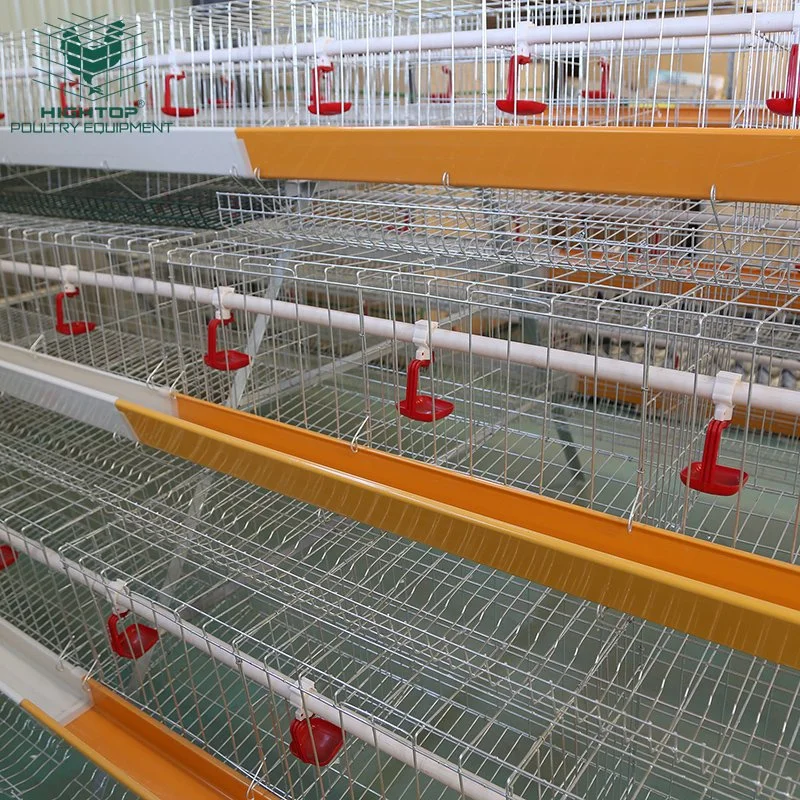 Pas cher A Type Soudé Fil Maille Volaille 120 Poules Cages de Couches en Vente