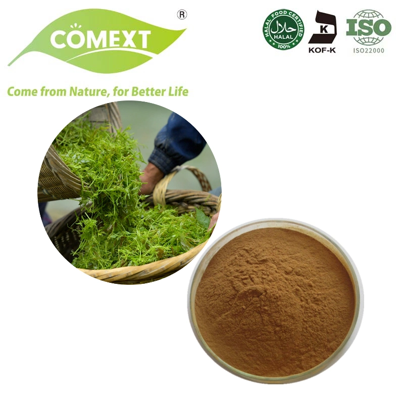 Comext Natural Wholesale/Supplier Price Vine Tea Extract 98% Dhm Dihydromyricetin Powder