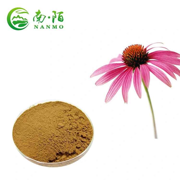 Factory Supply Best Quality Natural Herbal Extract Echinacea Purpurea Exract Powder