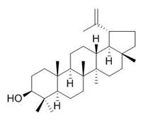 ISO Certified Reference Material 98%	Lupeol	545-47-1 Standard Reagent