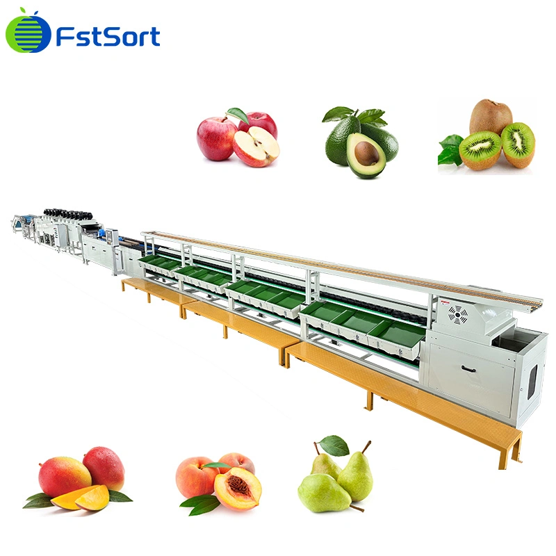 Mini Apple Sorting Machine Electronic Weight Sorting Machine Mango Grader for Sale