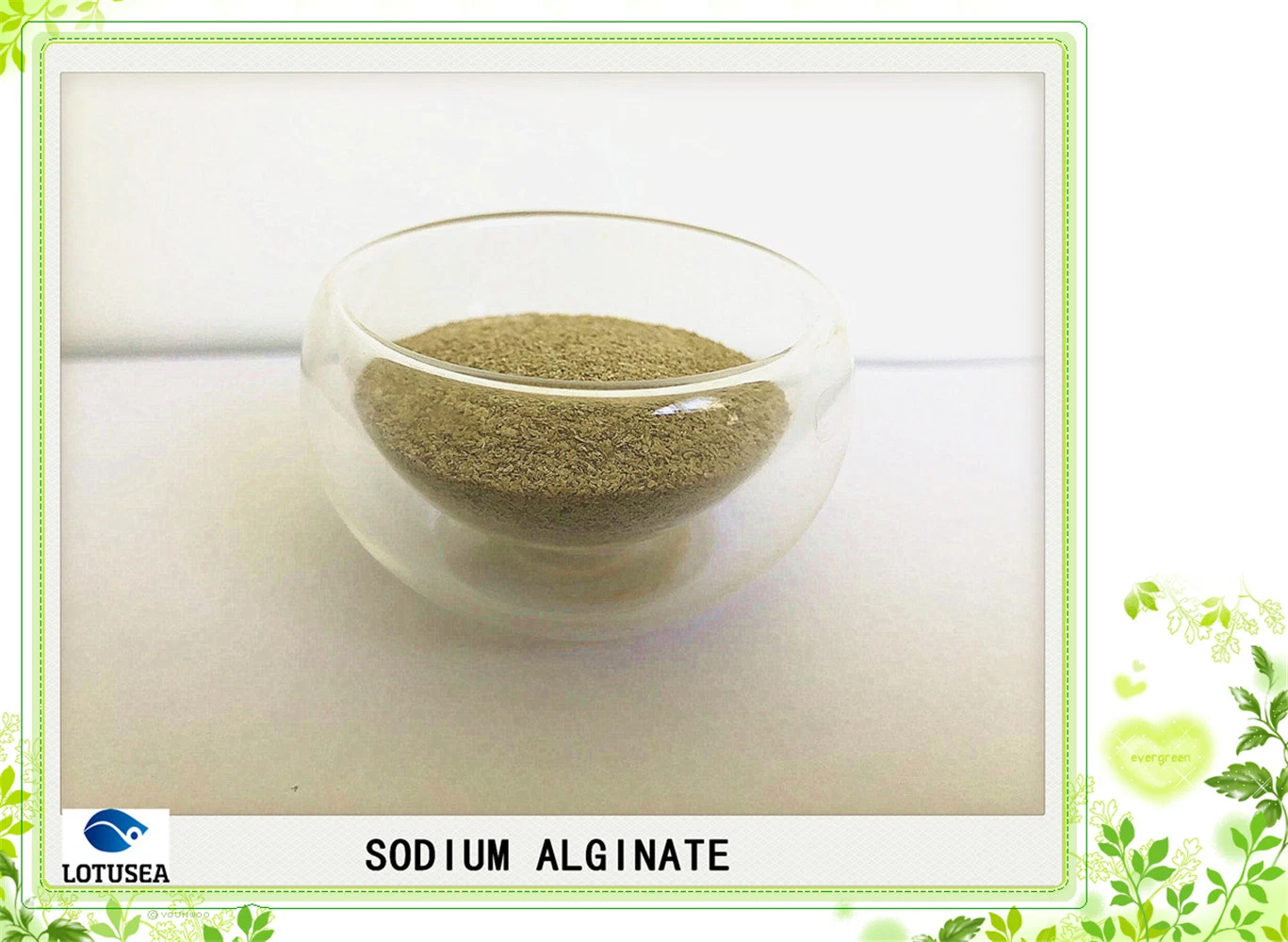 Textile Grade Reactive Dye Sodium Alginate 200cps