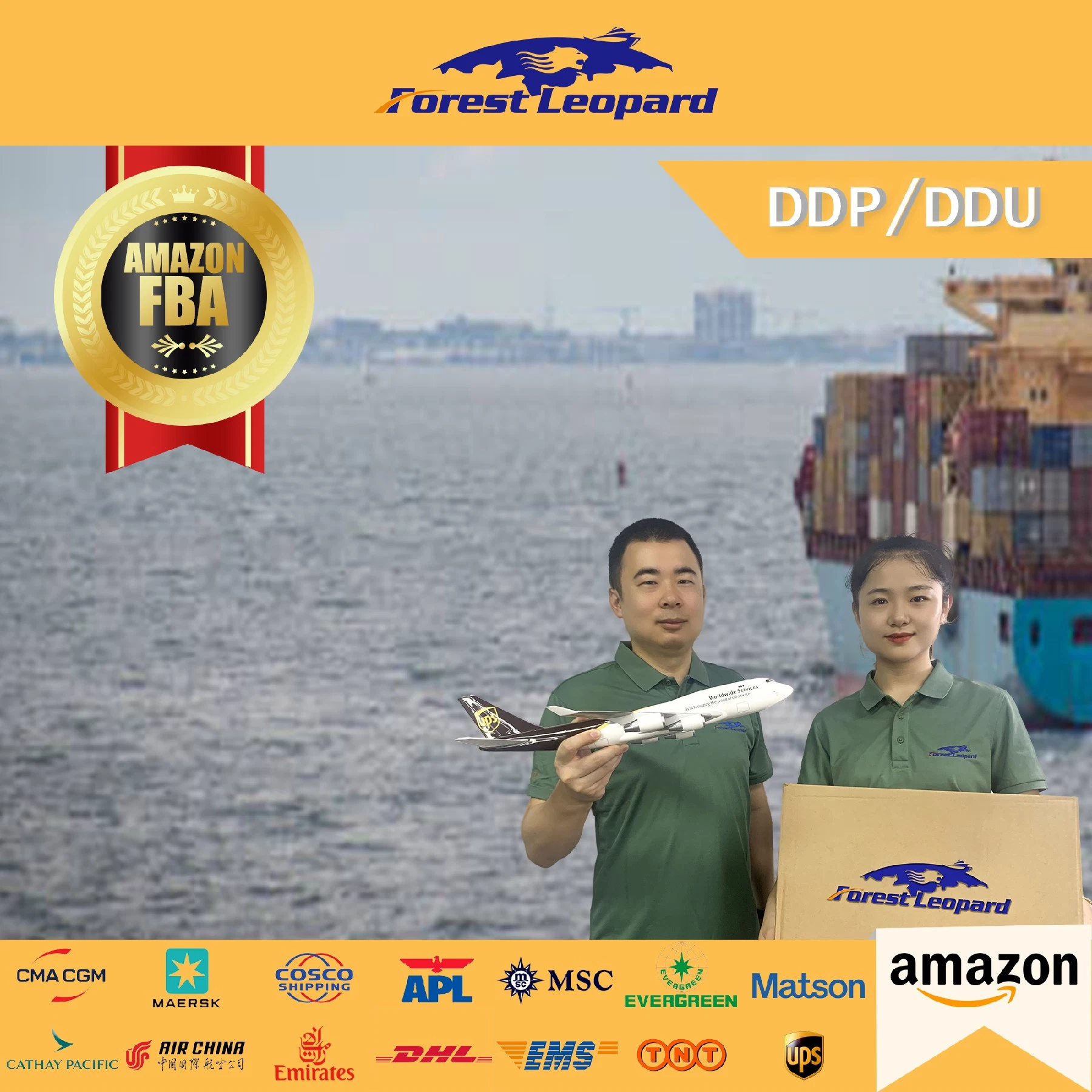 Mer/transitaire de l'océan la Chine au Canada USA Amazon FBA de Ningbo Shanghai Fast Ship Yiwu Servshanghai Yiwu Service DDP DDP