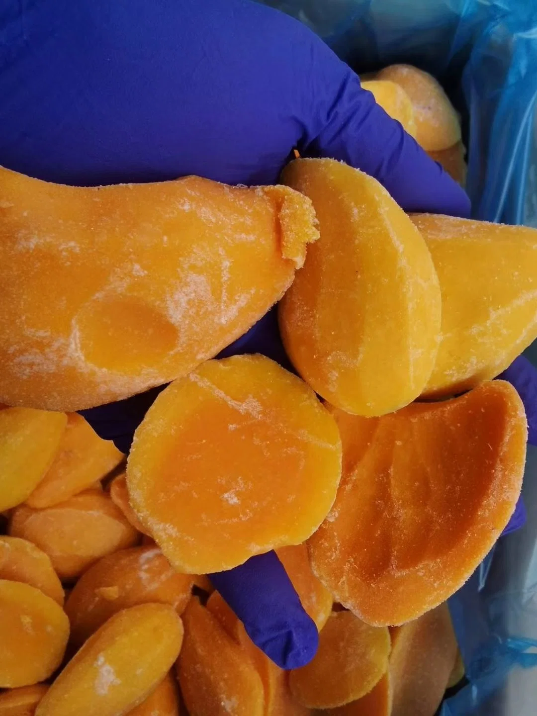 Mango congelado IQF fruta congelada para zumos Proveedor