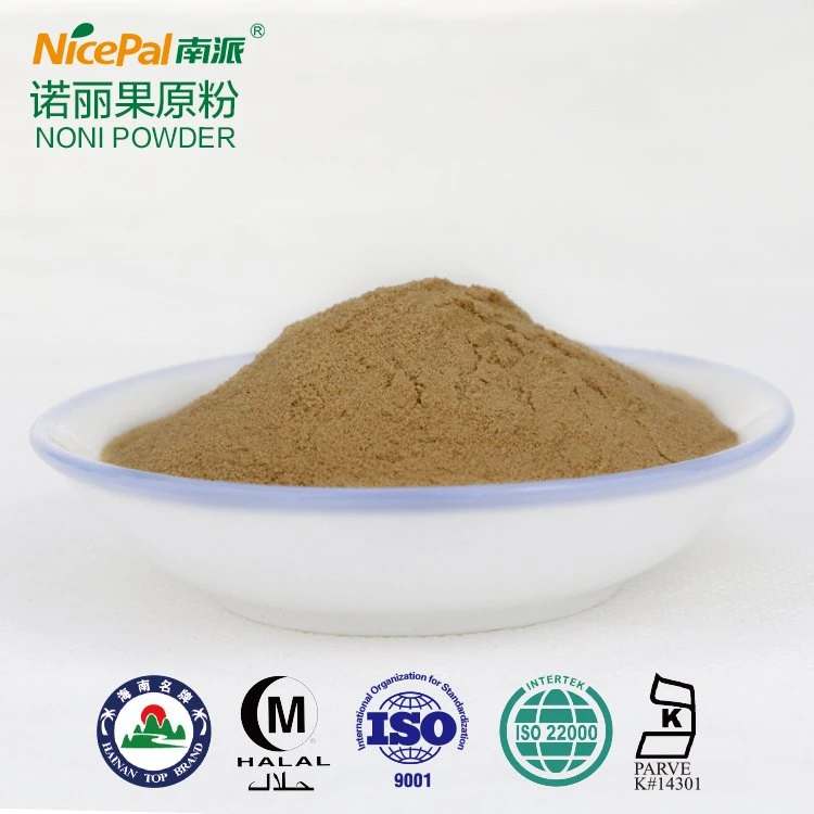 Noni Powder Wholesale/Supplier