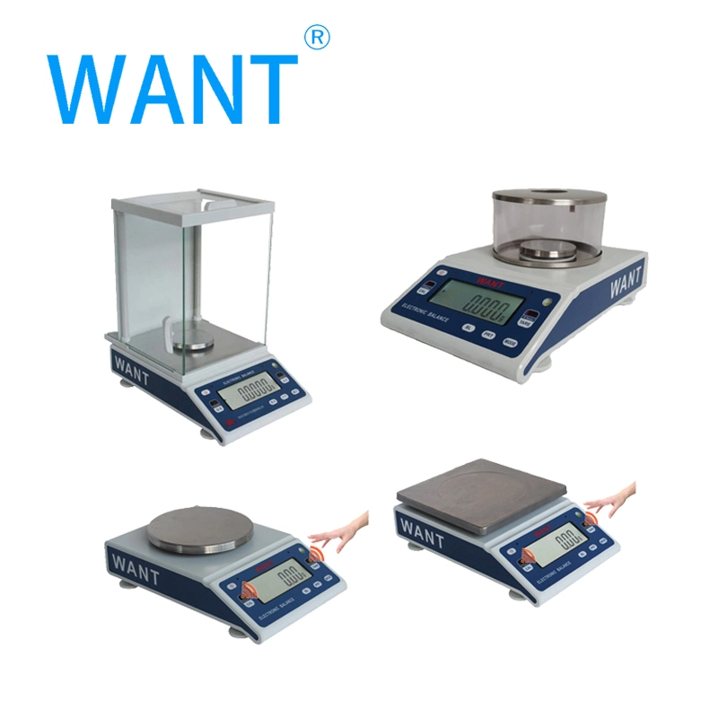 ISO Ce RoHS Approved 100g 0.001g Lab Weighing Precision Balance