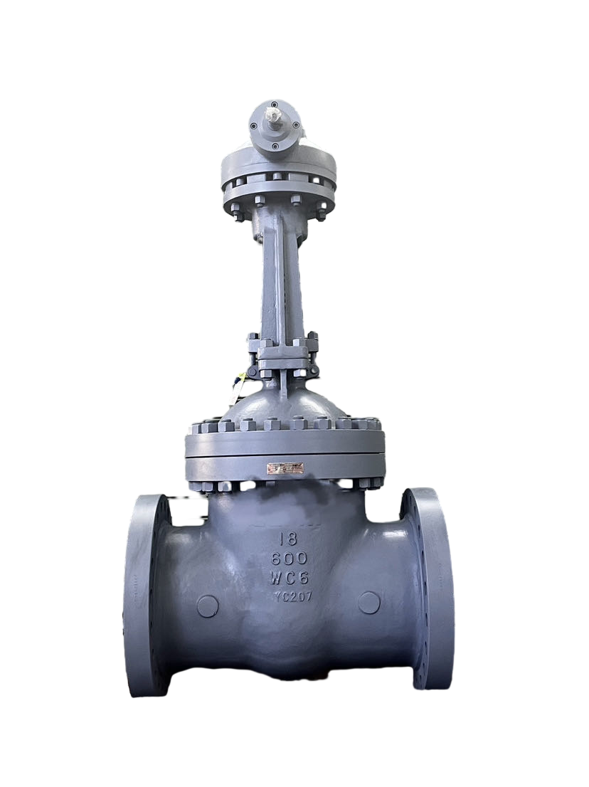 Cast Steel Full Diameter Double Flange OS&Y Wedge Gate Valve