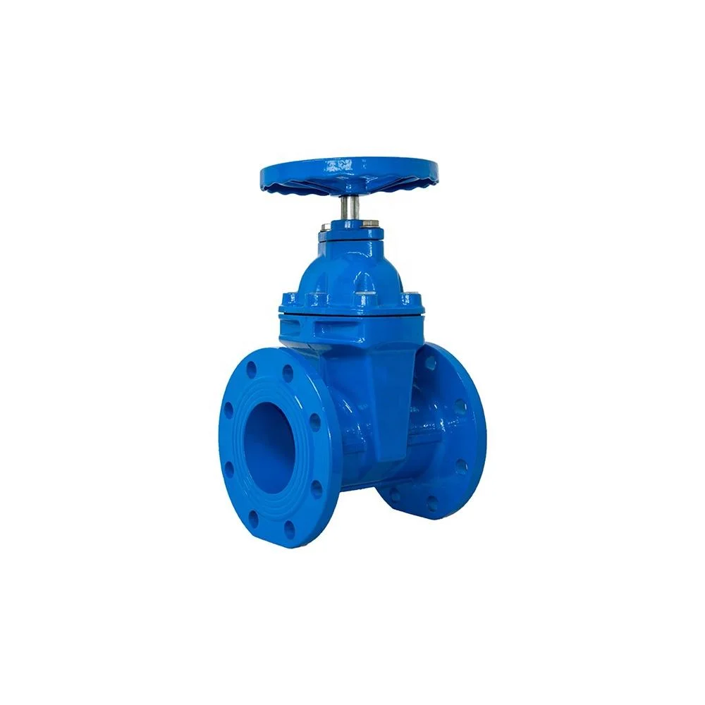 Manufacturers Gate Valve Pn16 Carbon Steel Casting and Body Price