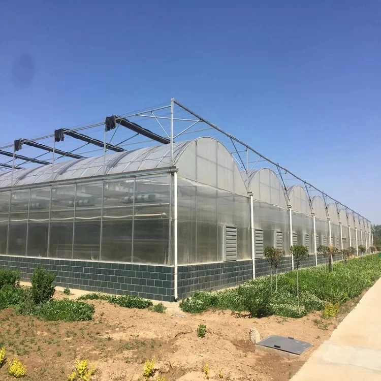 Galpão de plástico do túnel de cava-Poli Farm Multi Span Agro Agricultura económica das emissões