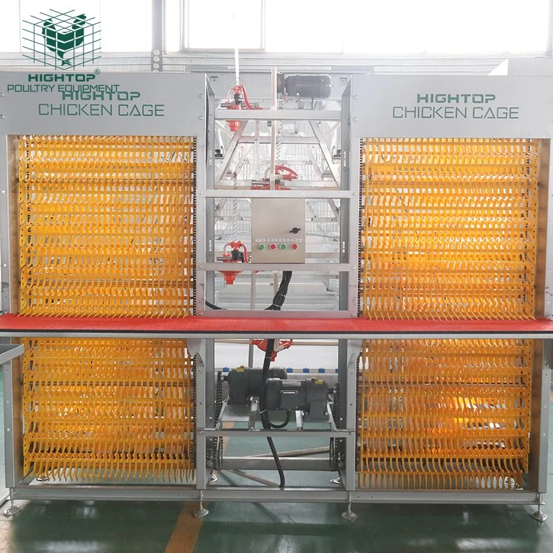 A Type Automatic Layer Egg Chicken Cages Poultry Farming Equipment System For Sale