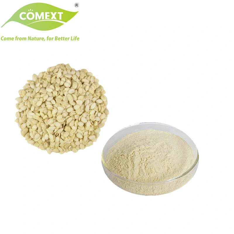 Comext Halal Kosher Supply High quality/High cost performance  Lower Blood Pressure Watermelon Seed Protein Powder