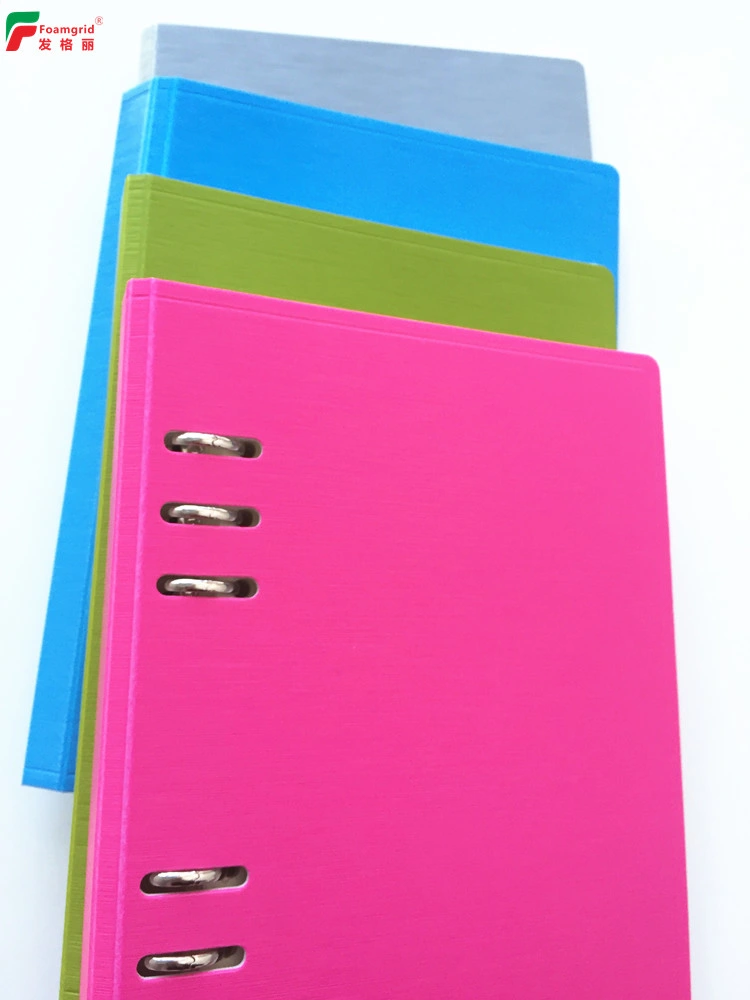 A5 Loose-Leaf Business Creative PP Foam Notebook