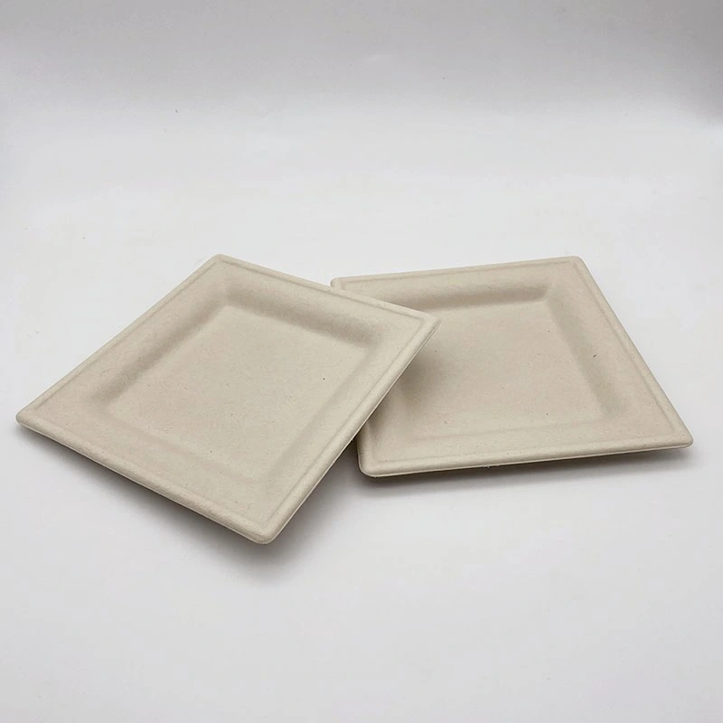 Pulp Middle Size Oval Plate Food Serving Tray Disposable Products China