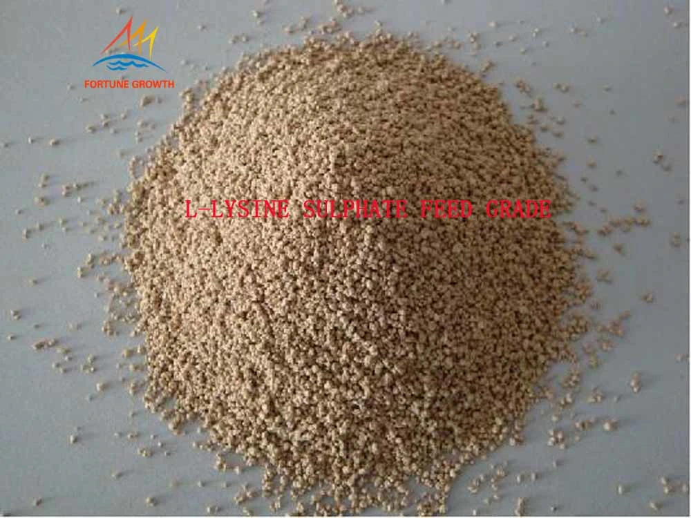 Shipping According to Customer Requirement L-Lysine Sulphate Feed Grade