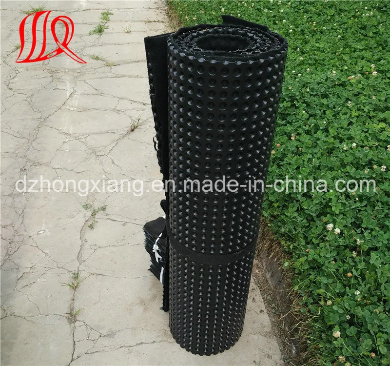 HDPE Dimple Drainage Sheet for Roof Garden