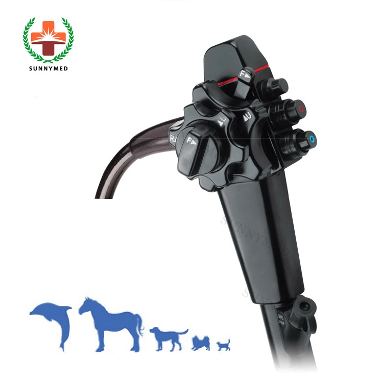 Sy-P033 Electronic Veterinary Flexible Gastroscope Vet Video Endoscope