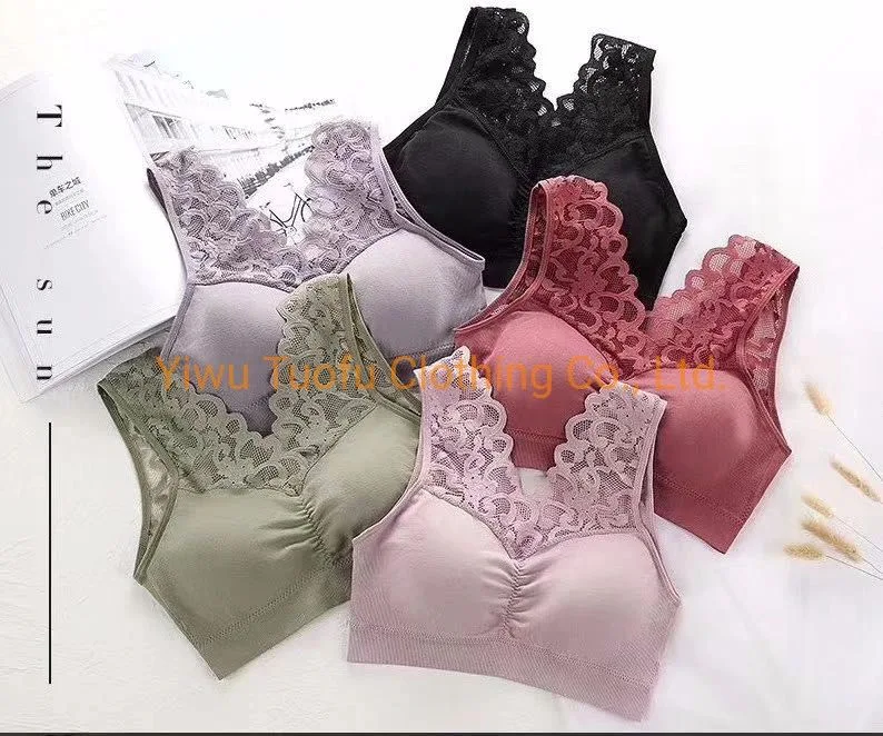 Women Underwear Lace Top Beautiful Back Wrapped Chest Gathered Ladies Sexy Lingerie Bra Without Steel Ring