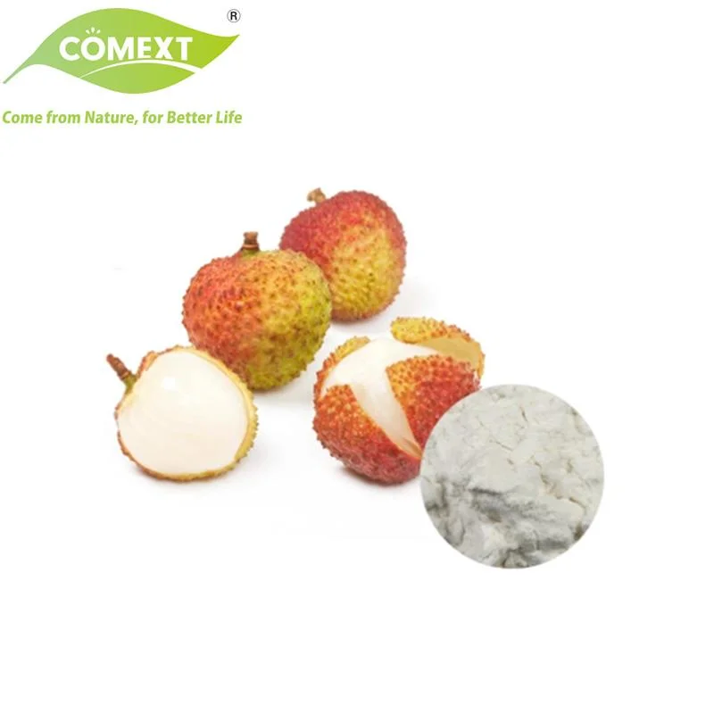 Comext Food Grade Free Sample Water Soluble Litchi Fruit Powder for Beverage