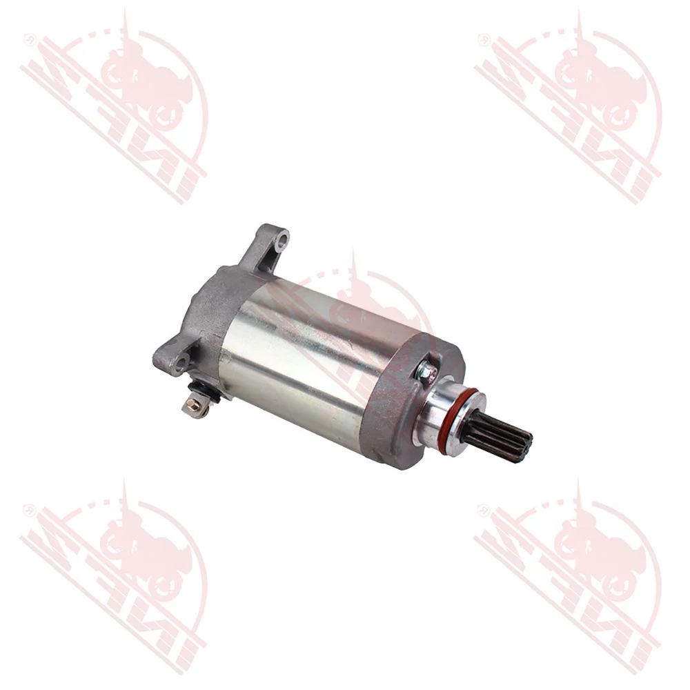 Infz Motorcycle Parts Manufacturers Electric Motorcycle Starter China Bike Starter Motor Torque for YAMAHA-Ybr125