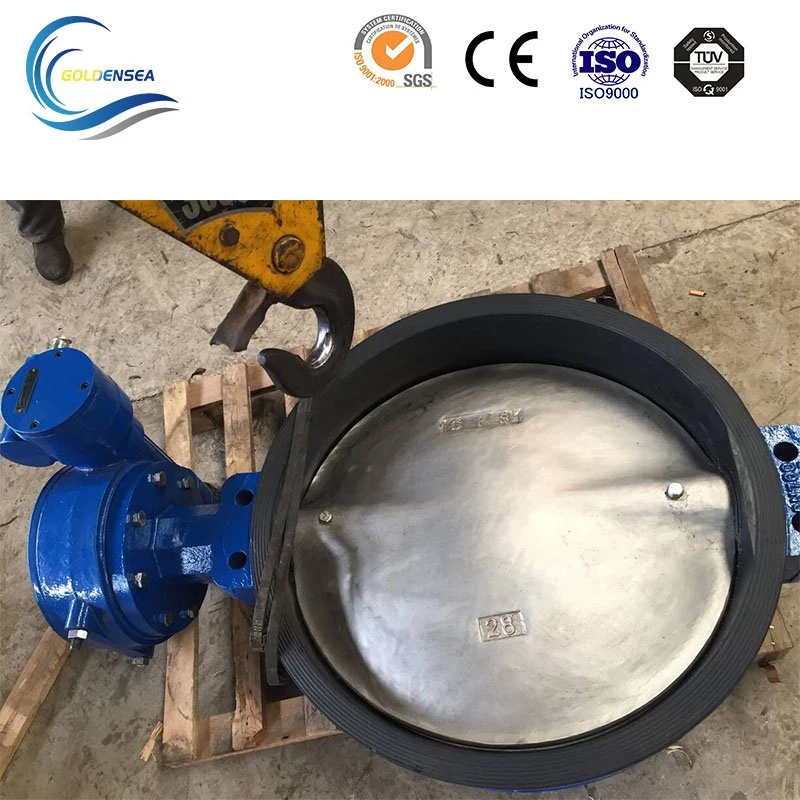 API/GB/DIN/GOST Flanged/Lug/Wafer Type Stainless Steel/Cast Iron Butterfly Valve