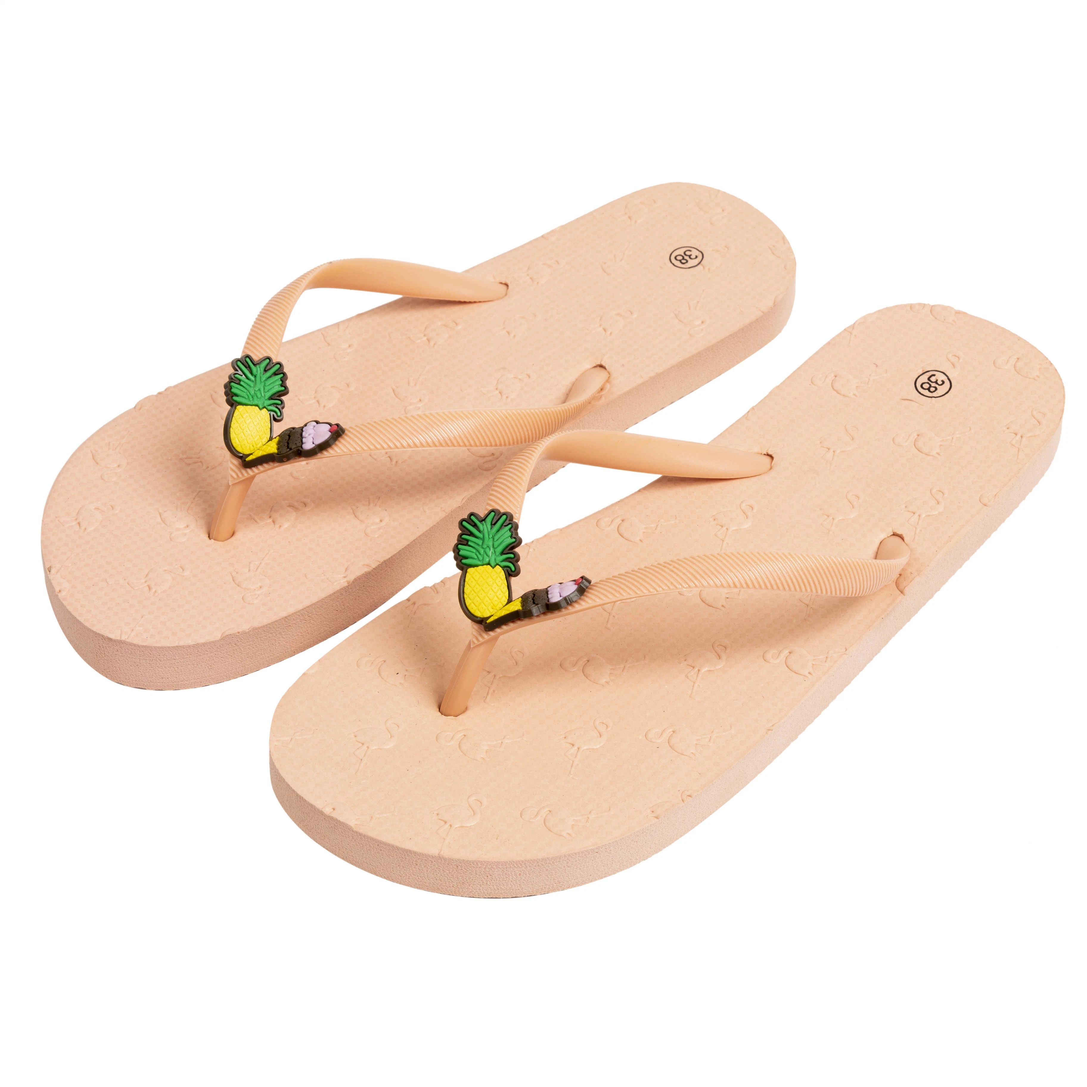 2023 New arrival populaire été extérieur plastique sandales tongs Chaussons intérieurs pour femmes