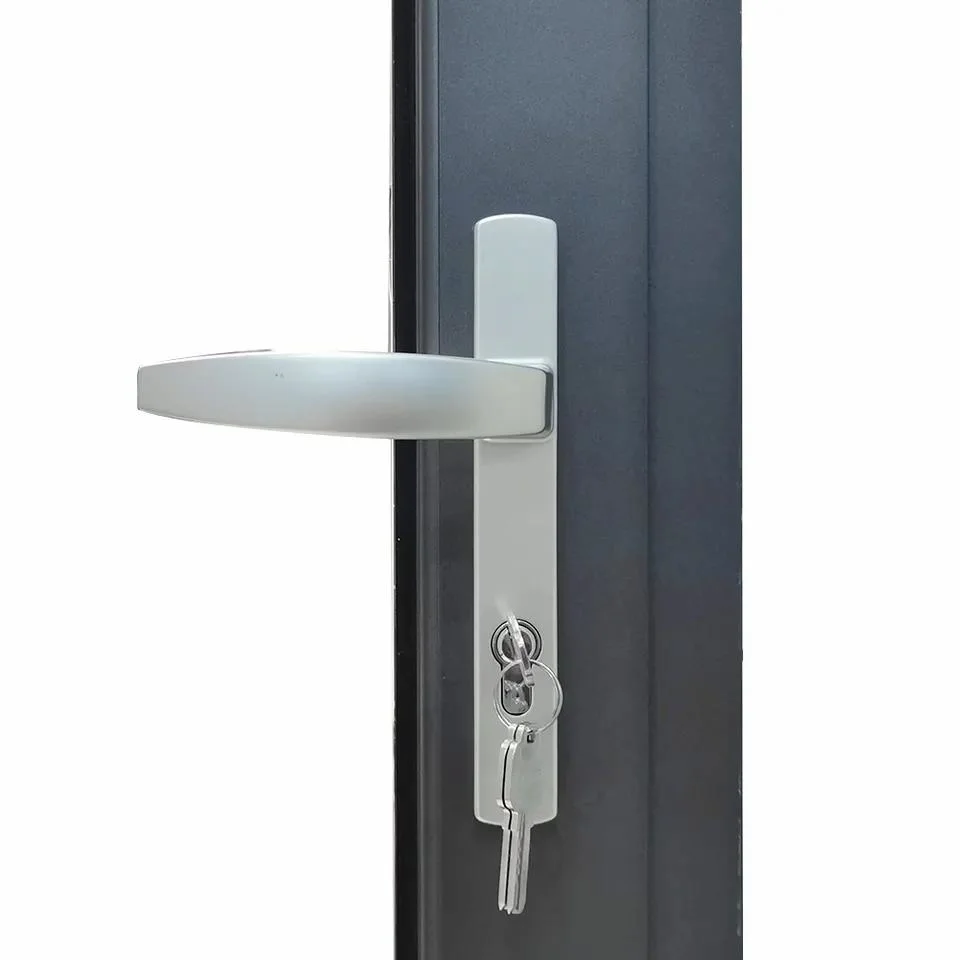 Aluminum Alloy Glass Swing Exterior Door Soundproof Aluminum Glass Casement/ Swing Door