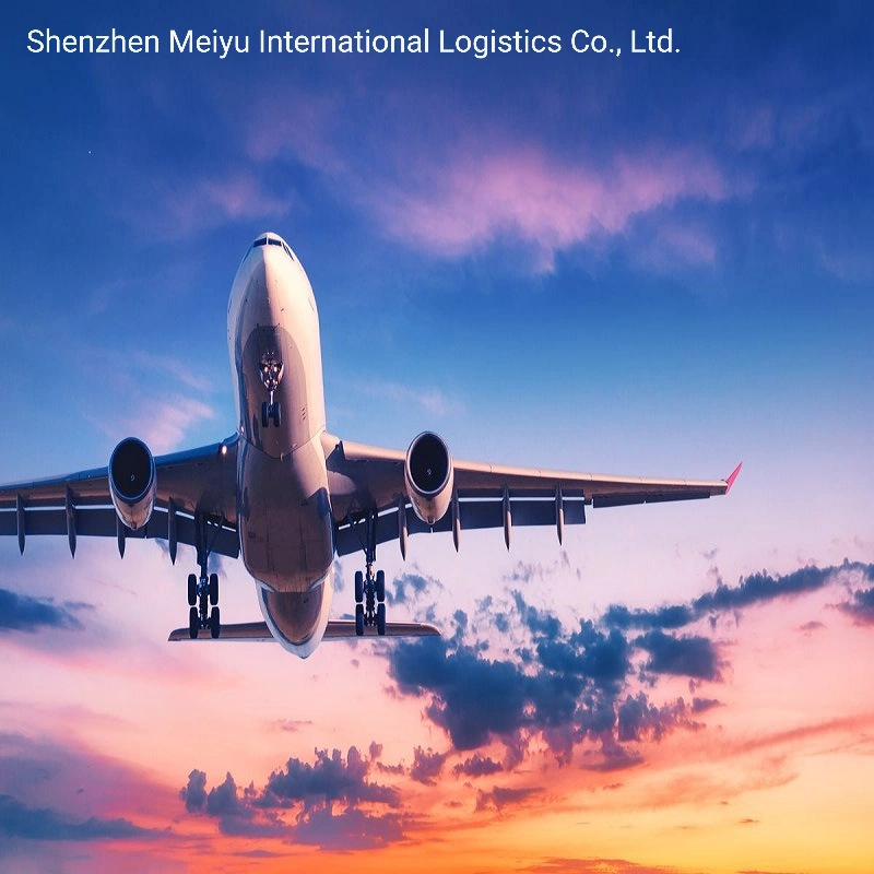 DDP Air Shipping From China to Europe Amazon Fba Shipping