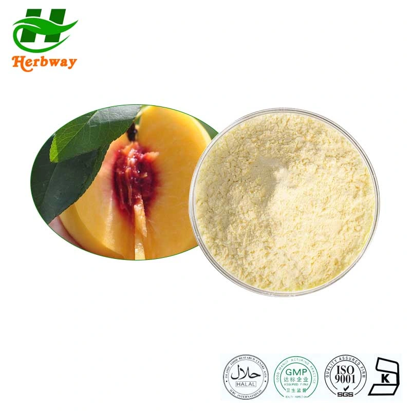 Herbway Kosher Halal Fssc HACCP Certified Yellow Peach Powder Peach Fruit Powder