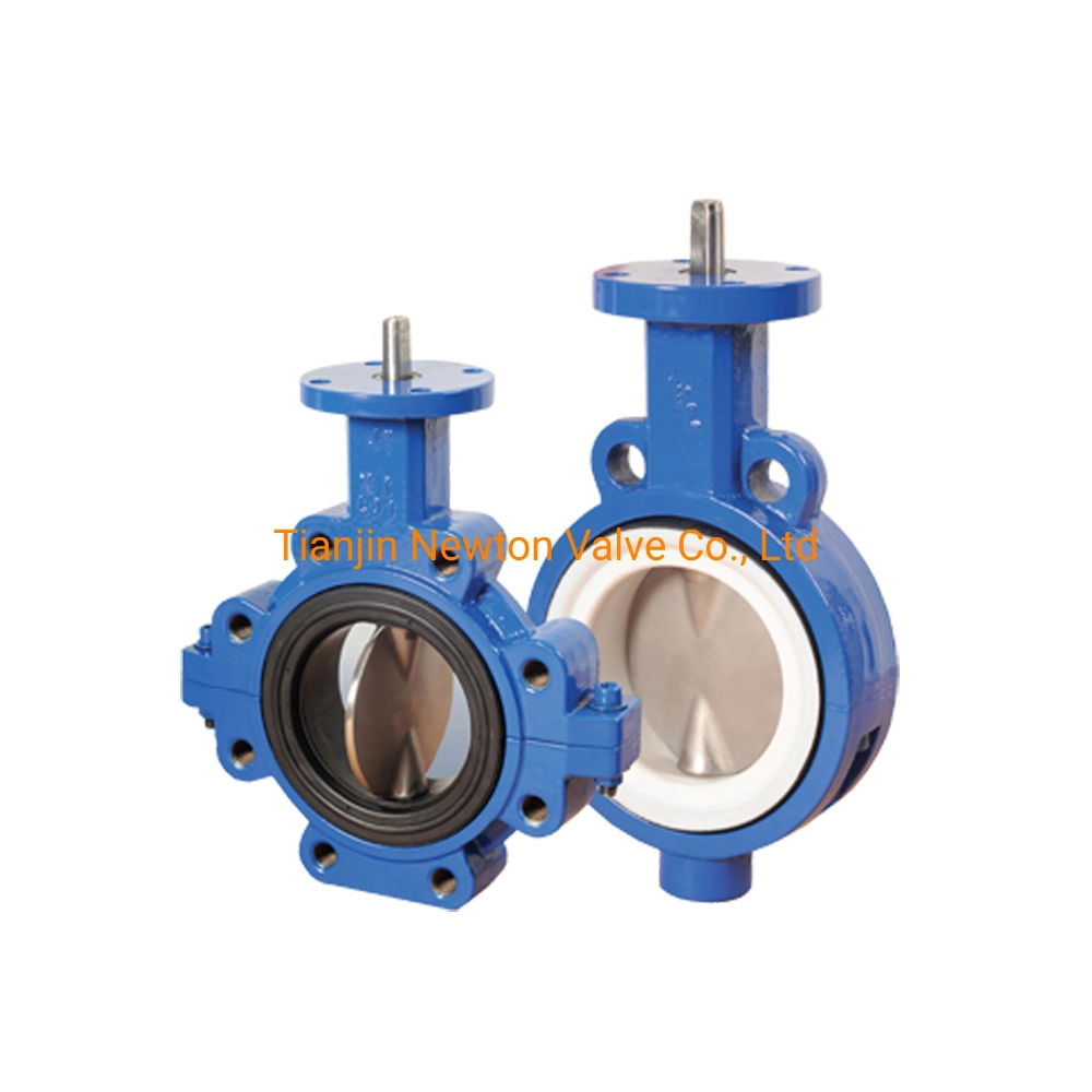 Class125 Class150 As2129 Table D/E Mss Sp Flange Connection Lug Type Butterfly Valve Cartridge Rubber Seat