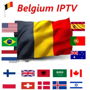 1 Year Qhdtv Abonnement IPTV Subscription Code Europe Spain Portugal Franc1 Year Qhde Italia Arabic Italy French Belgium for Android Smart TV Box M3u Qhdtv IPTV