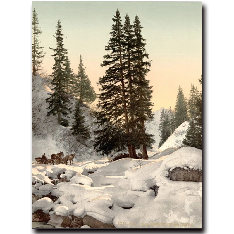 Natural Scenery Painting Chinese Winter Nature Landscape Oil Painting on Canvas