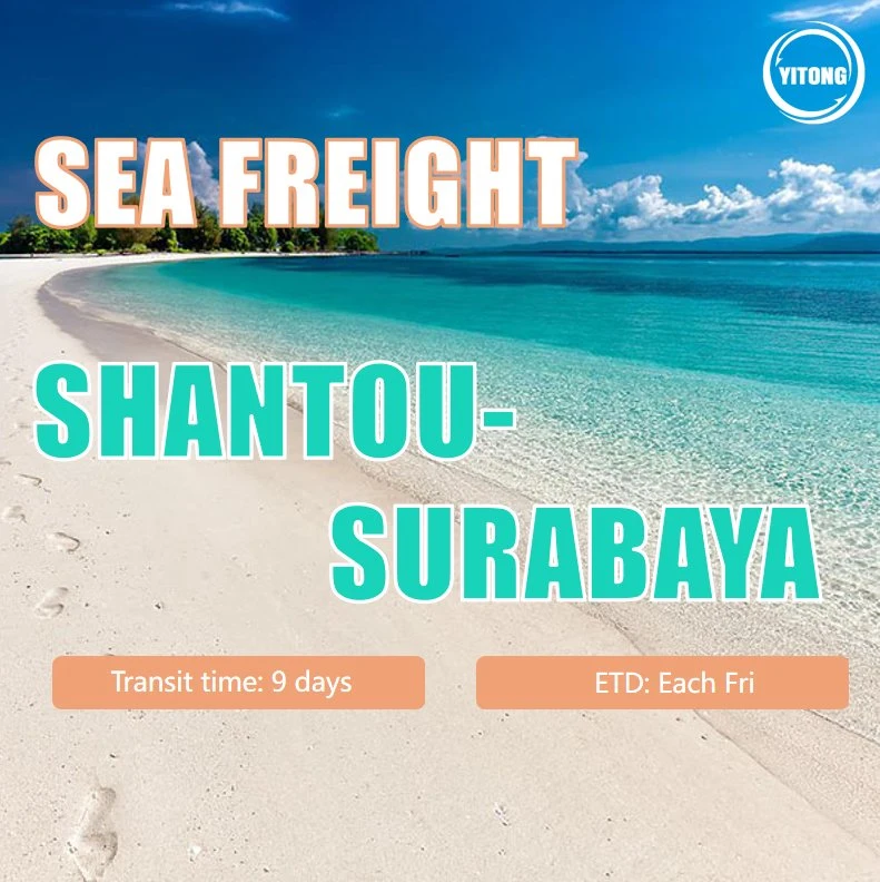 1688 Seefracht von Shantou nach Jakarta Guangzhou Warehouse Shipping Firma Cargo Ship Price Spediteur Spediteur