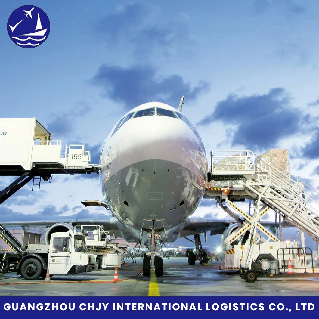 Transporte marítimo desde China Guangdong a Japón Tokio/Yokohama/Yokkaichi/Nagoya/Osaka/Moji/Kobe/Hakata/Shimizu Seaport por contenedor cargado, agente de transporte de carga