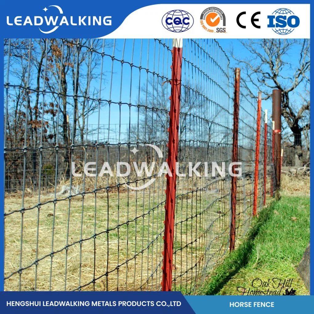 Leadwalking Mesh Wire Fencing OEM Custom Horse Riding Club Wire Mesh Suppliers China Long-Lasting Vinyl Horse Fence Mesh