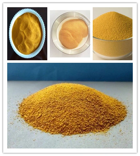 Hydrolyzed Corn Protein Powder in Bulk of Supply From Factory