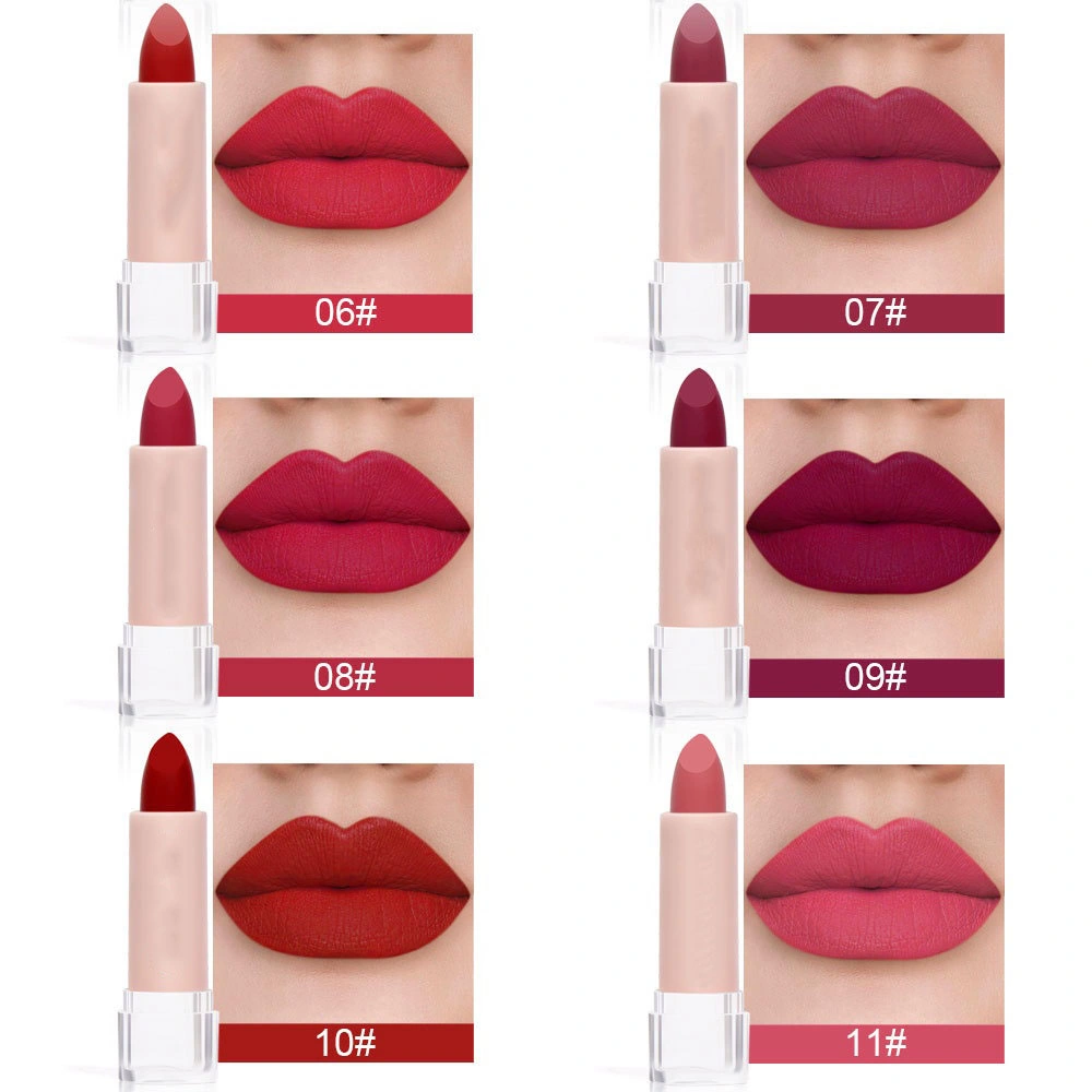 مجموعة ألوان OEM 15 لون Lipstick غير لامع ومقاوم للماء