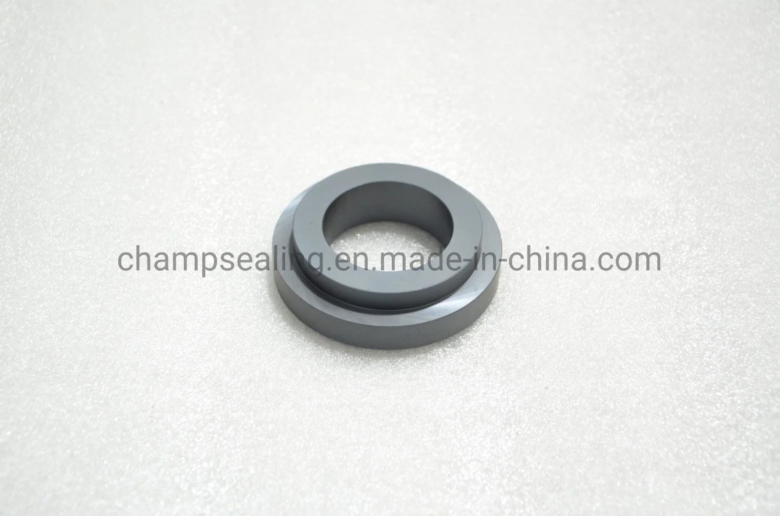 Mecânica de cerâmica do anel de vedação de pressão alta