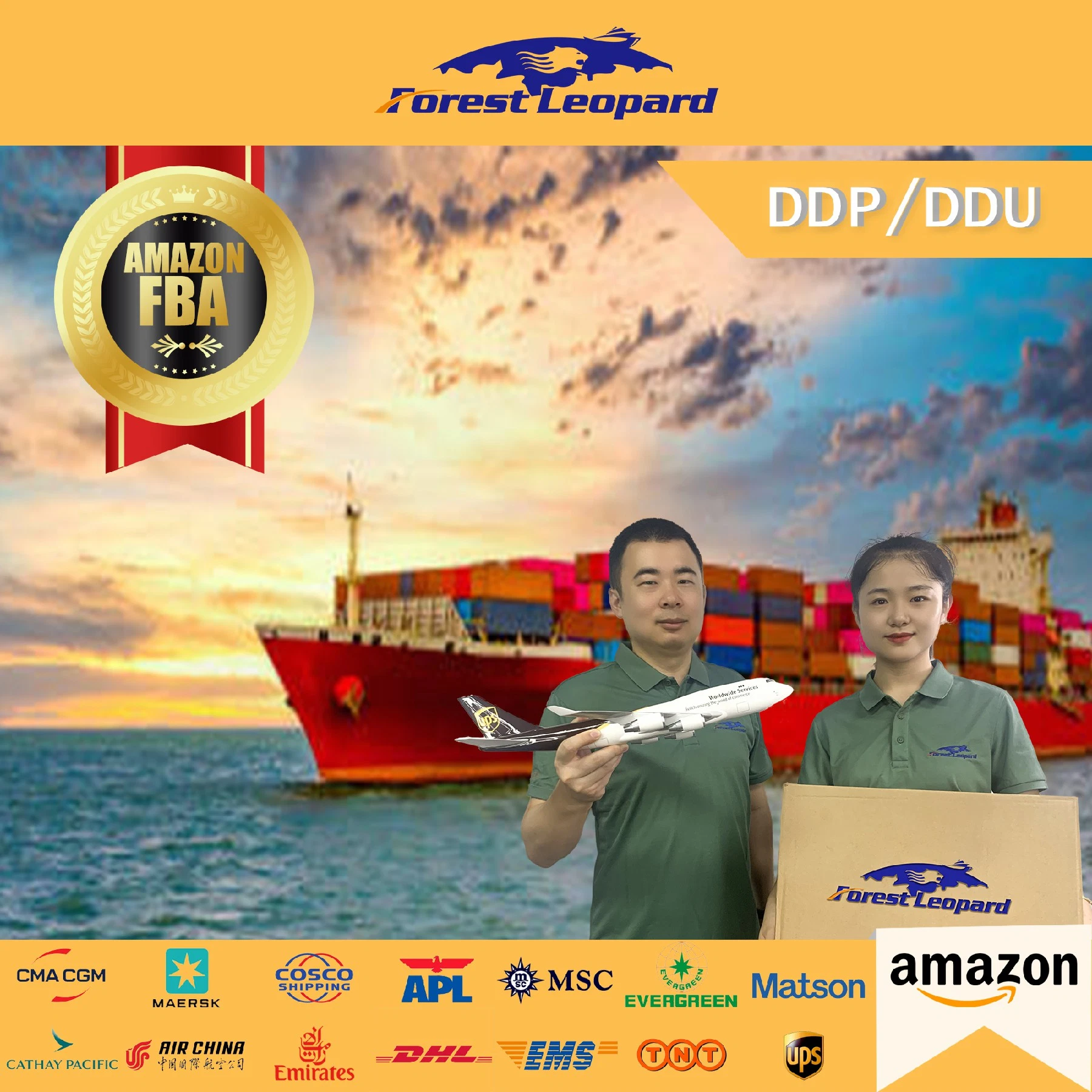 DDP Door to Door Service Freight Forwarder to USA/UK/Italy/France/Netherlands /Germany/Canada Fba Amazon by Air Shipping From CH