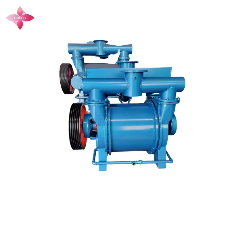 Manufacturer Products Water Liquid Ring Vacuum Pump for Mining Industry 2bea152