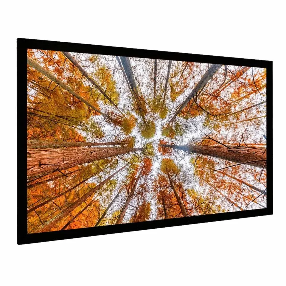 HD 16: 9 Cinema Fixed Frame Projector Screen with Acoustically Transparent Fabric