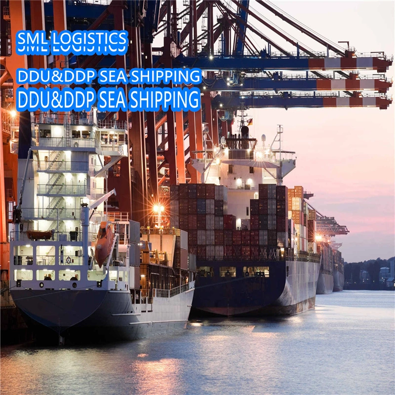 Sea Freight/Air Cargo /Express Freight Forwarder From China to Iquique/Tocenoa/Antwerp/Felixstowe/Gdansk Fba Shipping Agents Logistics Rates