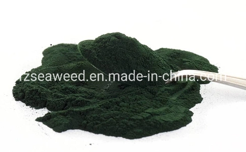 Approvisionnement en usine haute Quantilité Organic Spiruline Powder