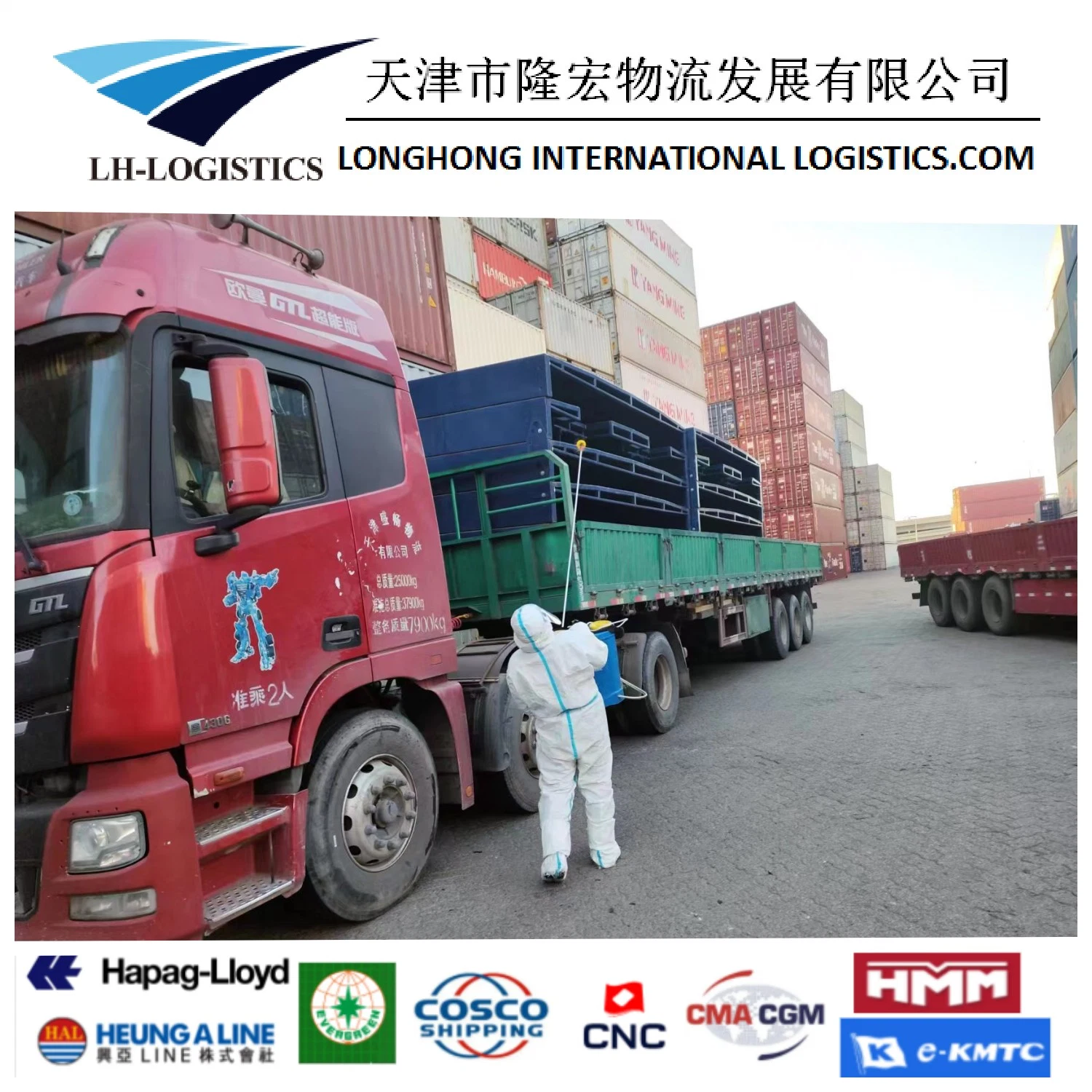 Servicio profesional Transporte de mercancías Transporte marítimo China a EE.UU./Canadá/Alemania Puerta A la puerta de envío de servicio