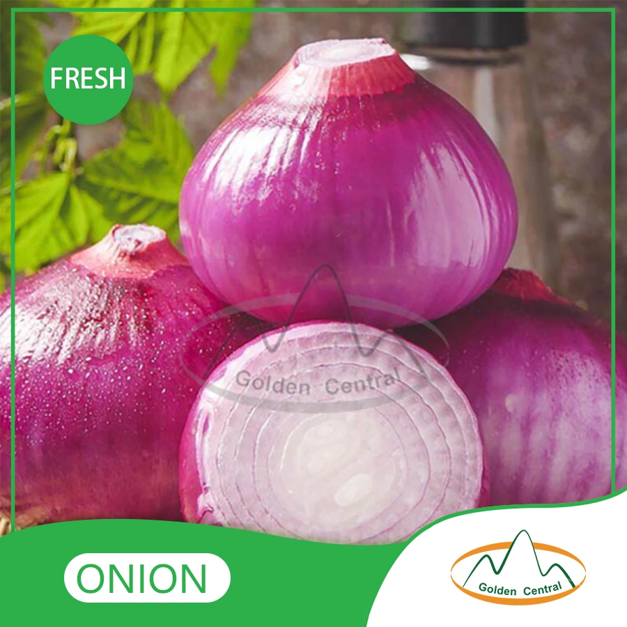 Low Price Fresh Yellow Onion