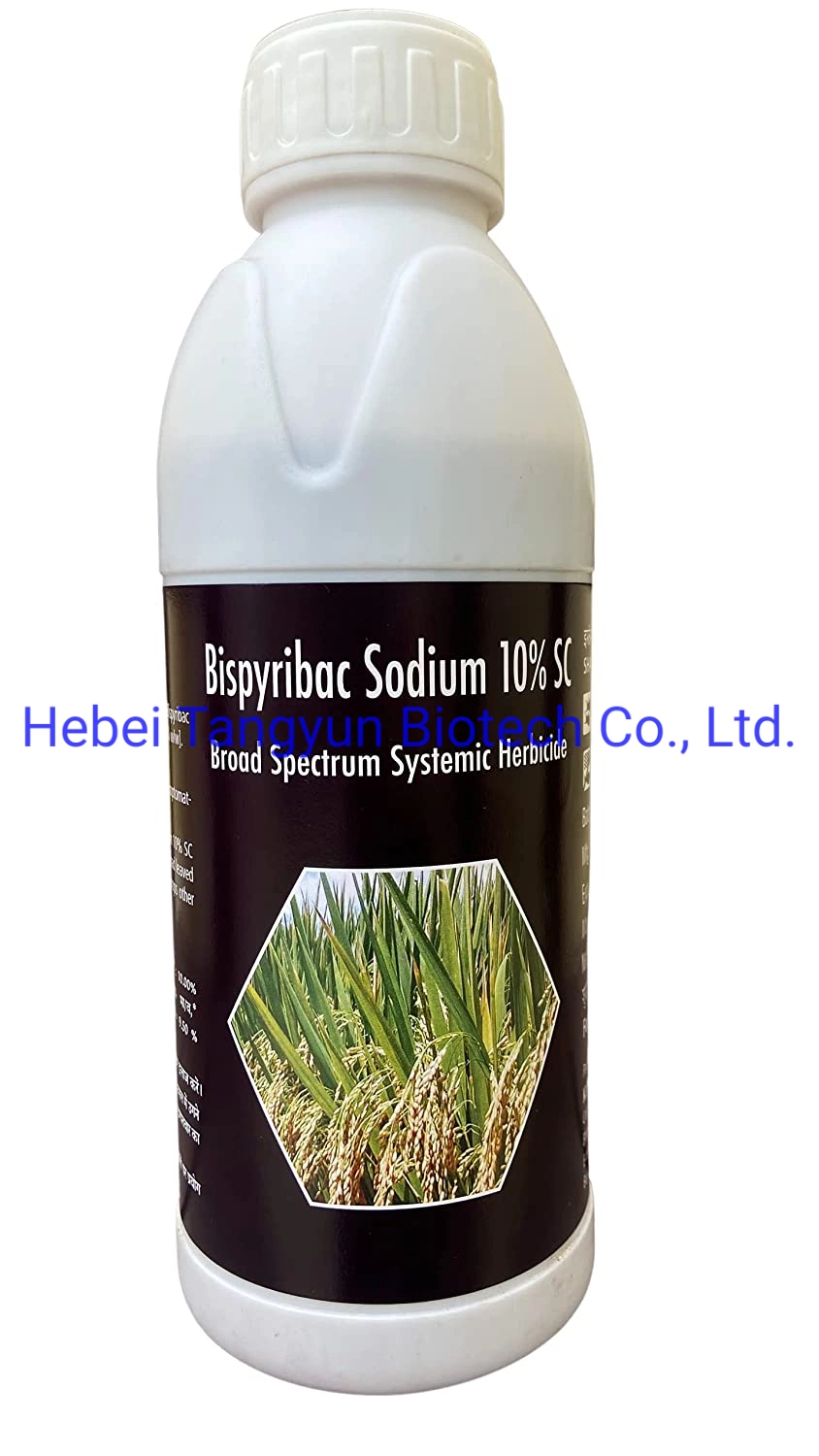 High Effective Weed Killer Herbicide Bispyribac Sodium 10%Sc