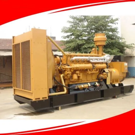 Low Noise 800kVA/880kw Gas Generator Septic Station Biogas for Pig Farm Fully Automatic