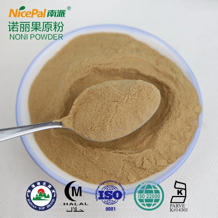 Noni Powder Wholesale/Supplier