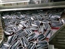 Canned Sardine Pilchard in Oil Supplier